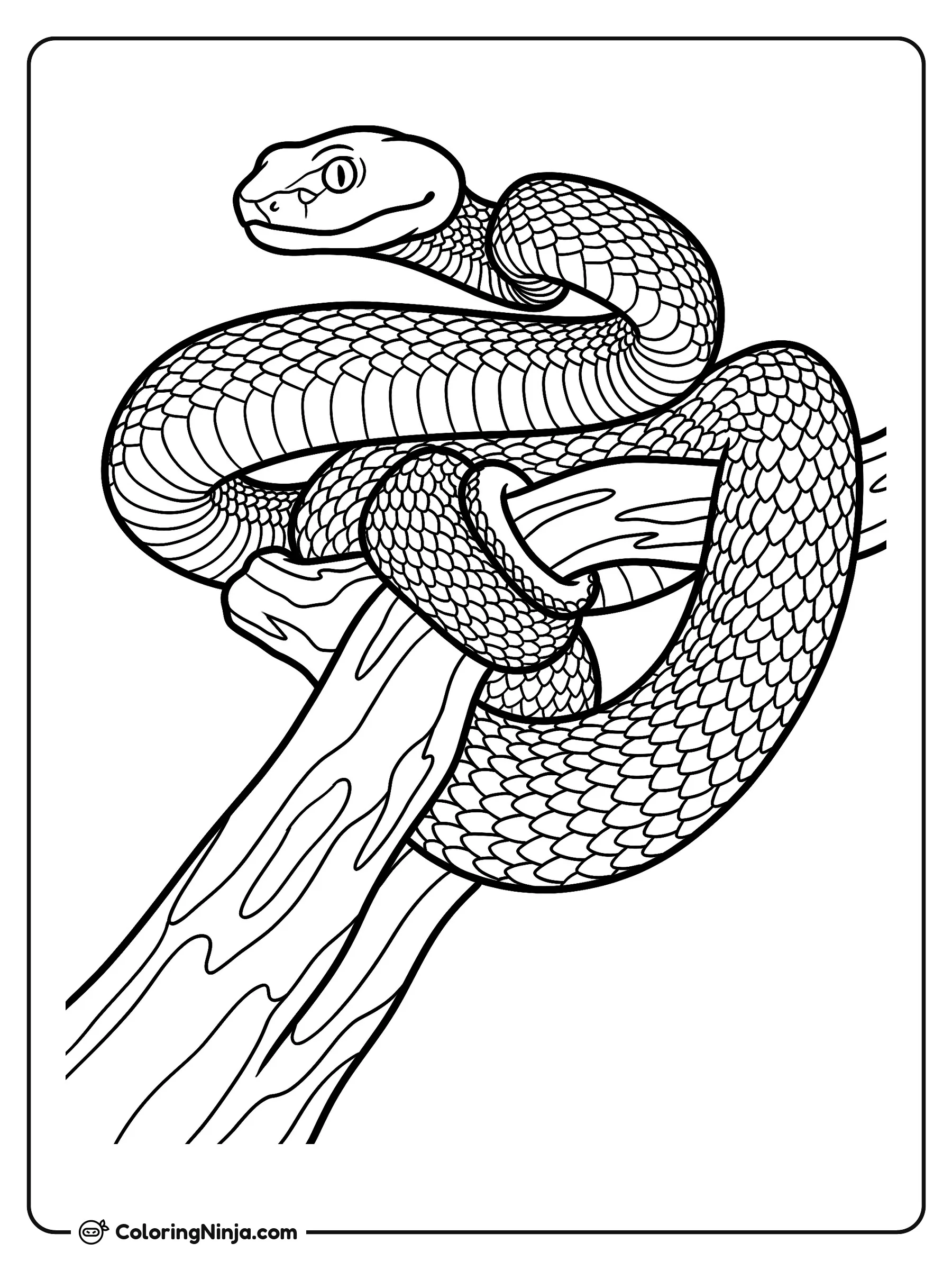 Serpiente enroscada en una rama, dibujo para colorear: Una serpiente detallada se enrosca con fuerza alrededor de la rama gruesa de un árbol mientras mira hacia el frente.