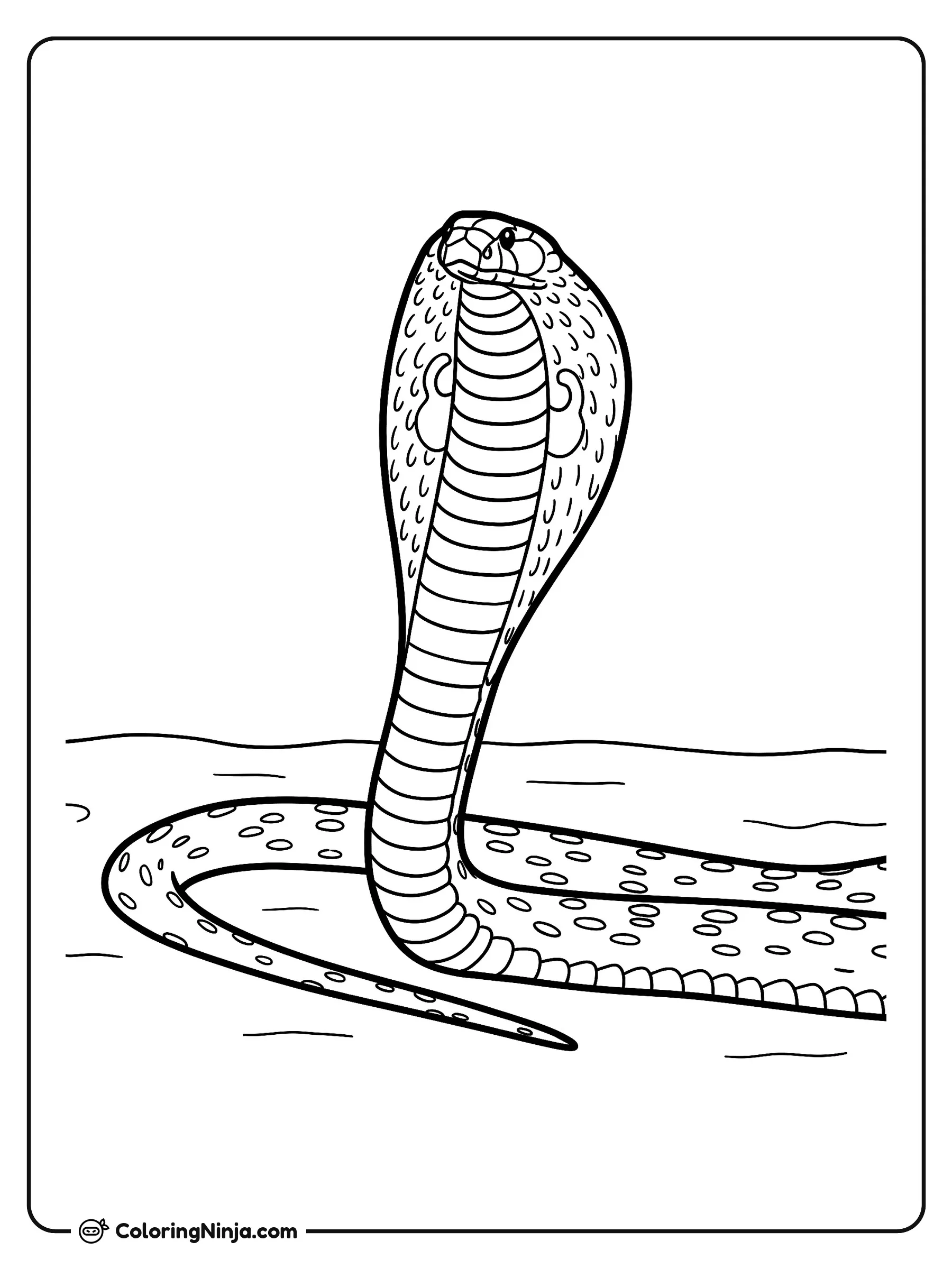 Serpiente Cobra en el Suelo, dibujo para colorear: Una serpiente cobra levanta la cabeza erguida desplegando su capuchón mientras su largo cuerpo descansa sobre el suelo.
