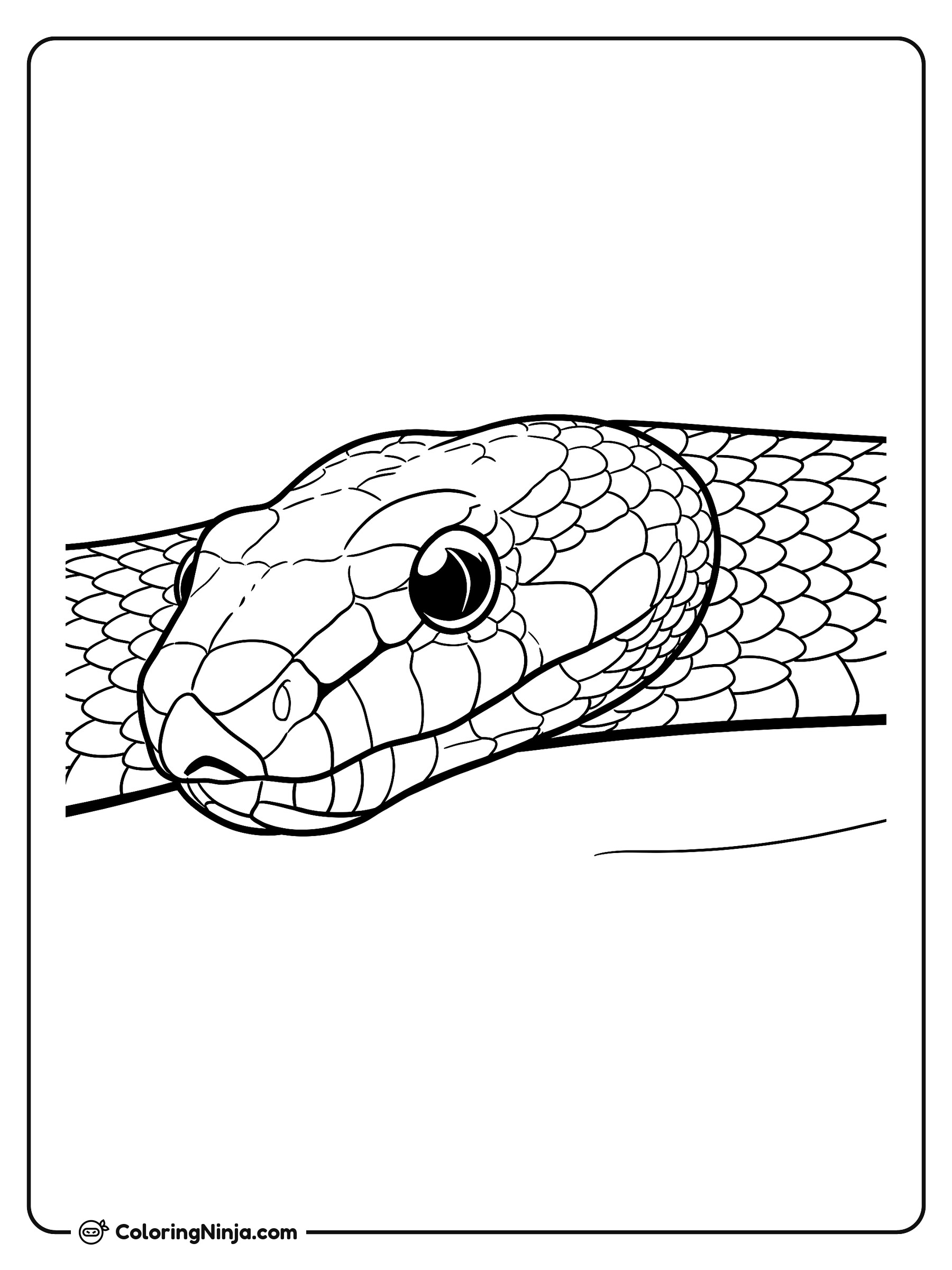 Cabeza de Serpiente con Escamas: dibujo para colorear