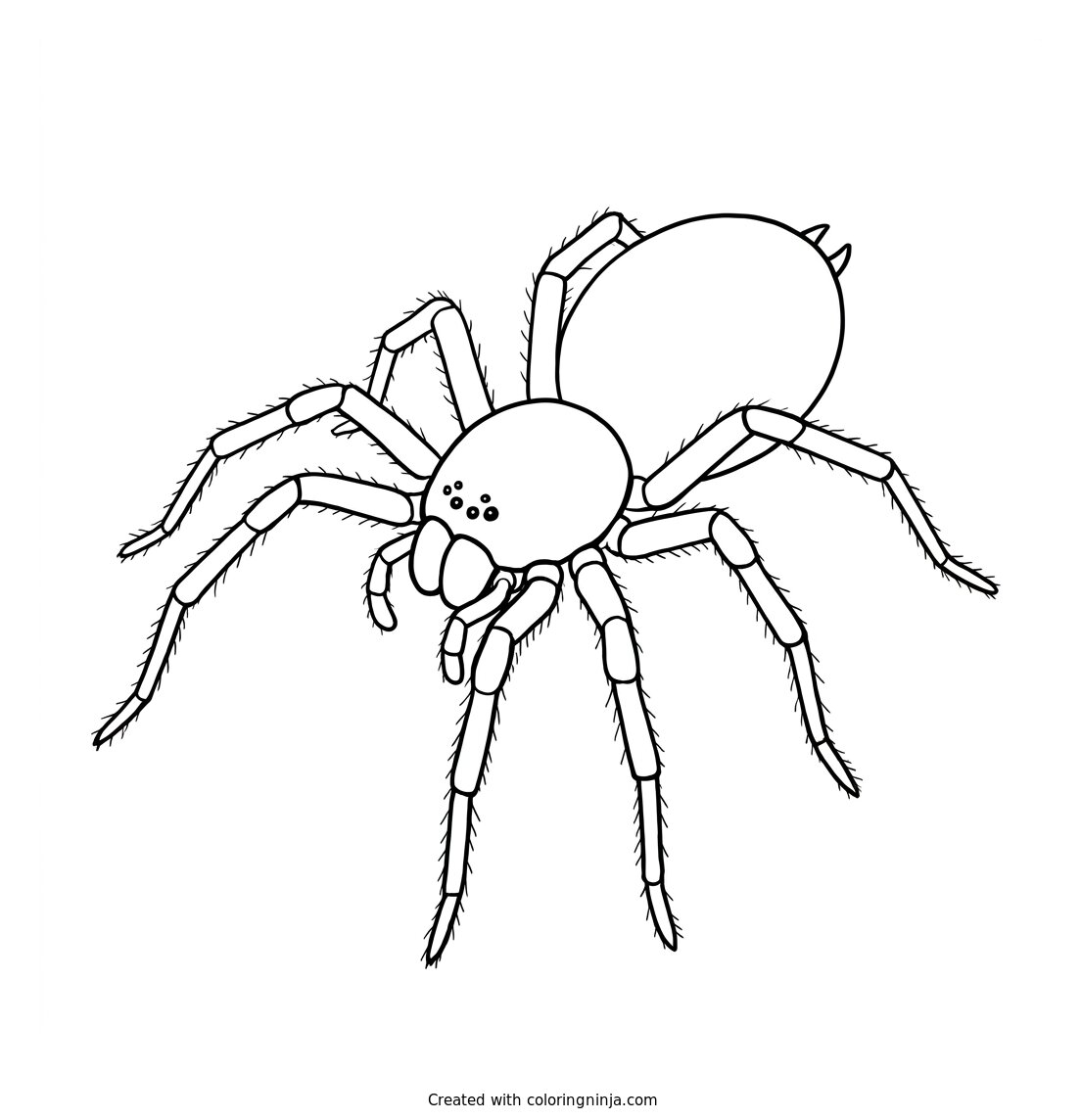 A Spider Coloring Page