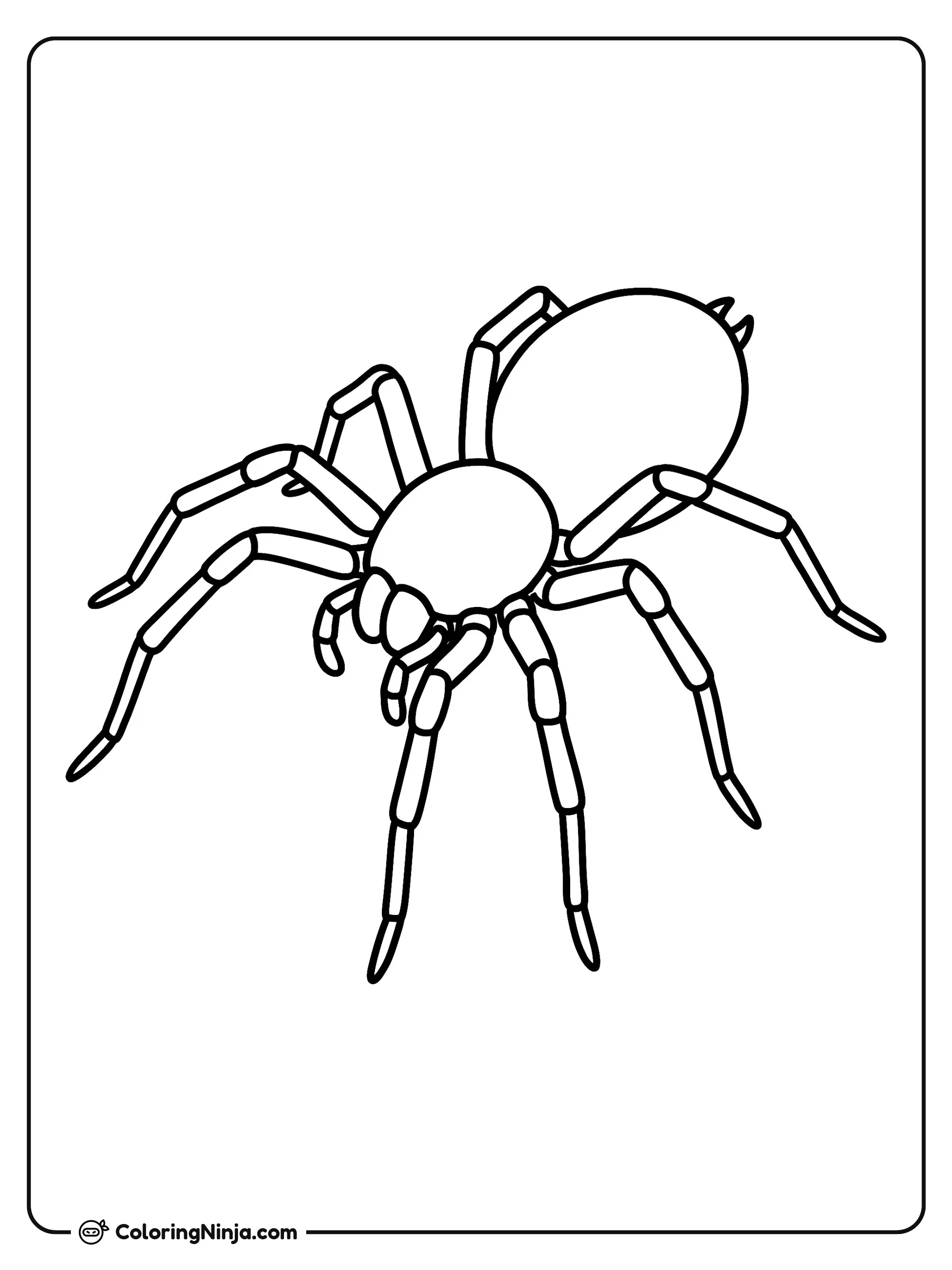 Una araña en el centro, dibujo para colorear: Una araña se encuentra en el centro con sus ocho patas articuladas extendidas hacia afuera. Su cuerpo detallado muestra un abdomen redondeado, cefalotórax y pedipalpos visibles al frente.