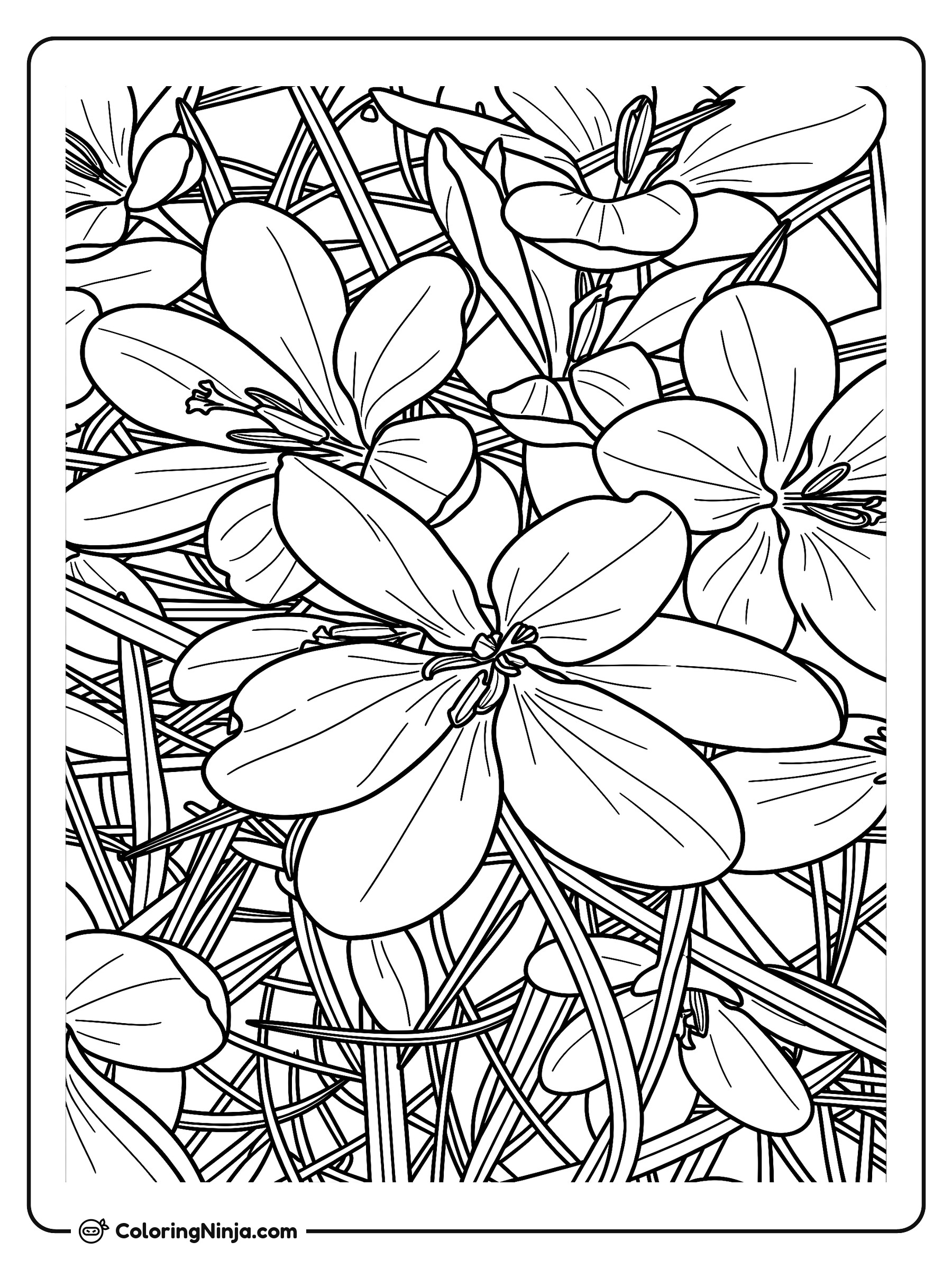Flores de Primavera en el Jardín: dibujo para colorear