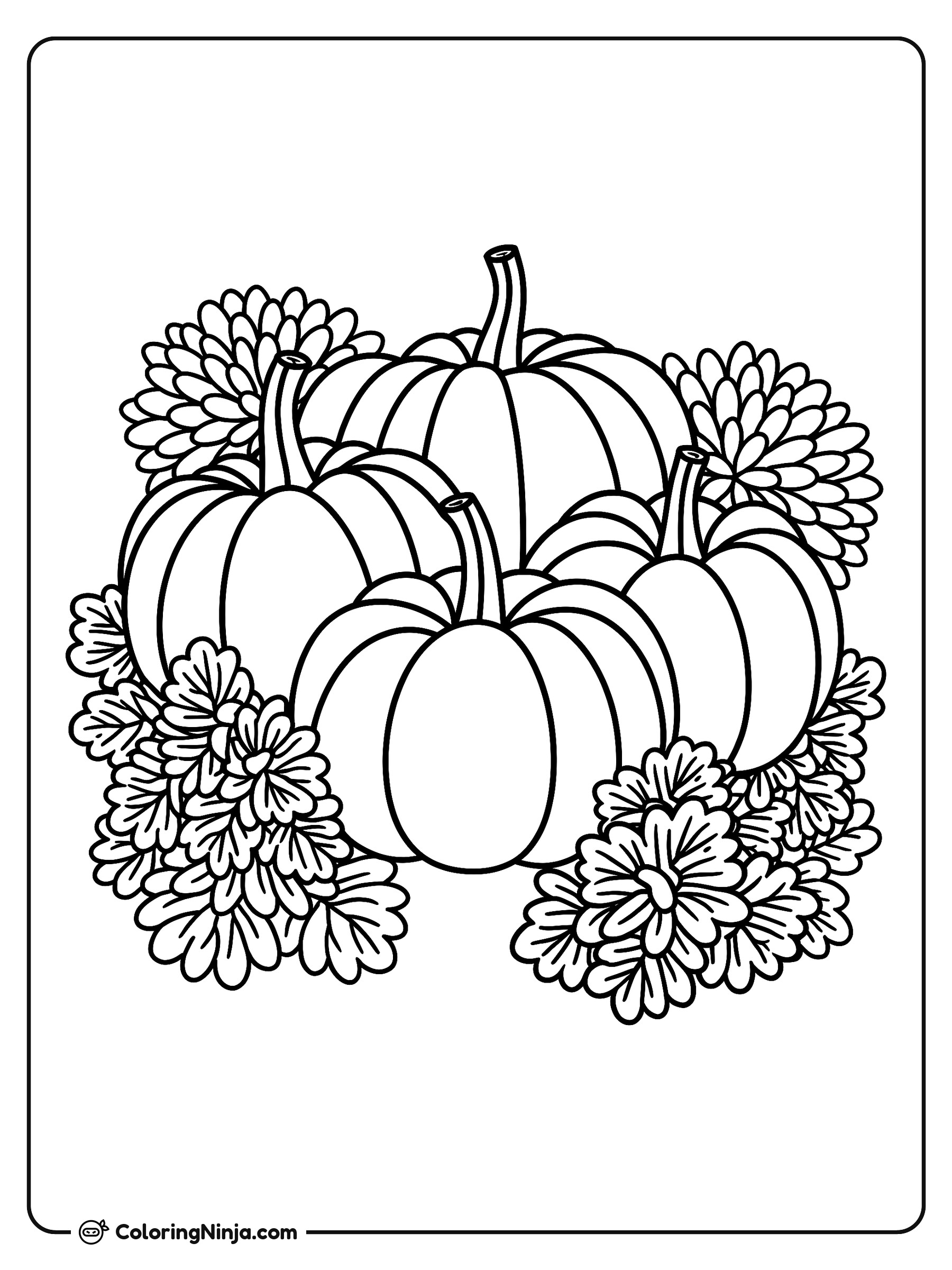 Cuatro calabazas rodeadas de flores: dibujo para colorear
