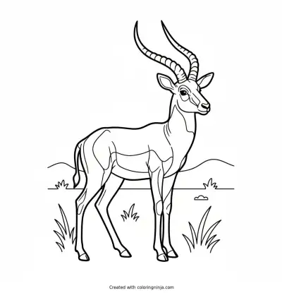 A coloring page of Antelope