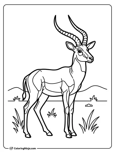 Antílope en la naturaleza