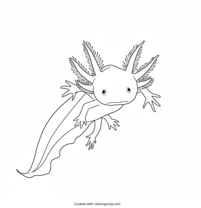 A coloring page of axolotl