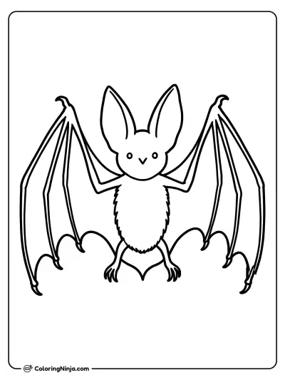 a Bat coloring page