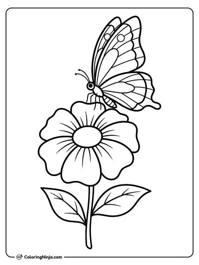 A Butterfly on a Flower Coloring Page