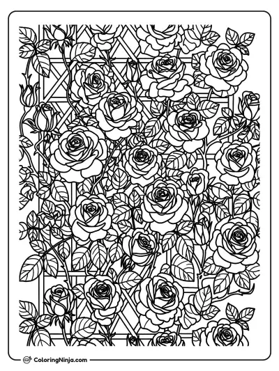 A Beautiful Rose Garden Coloring Page