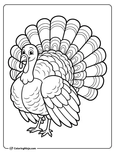 Realistic Wild Turkey Feather Fan Coloring Page