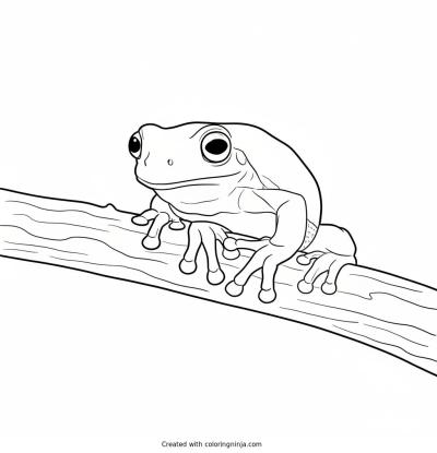 A coloring page of cute frog