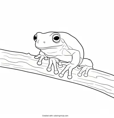 A coloring page of cute frog