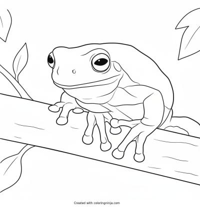 A coloring page of cute frog