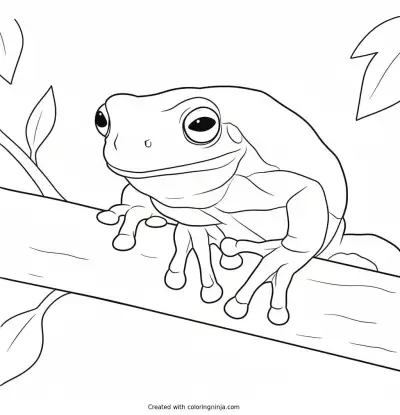 A coloring page of cute frog