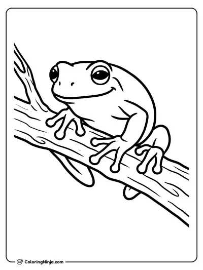 Cute Frog Coloring Page