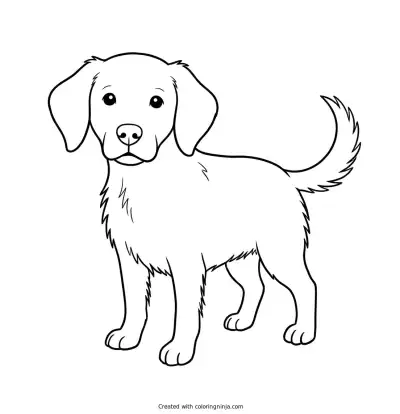 a Dog coloring page