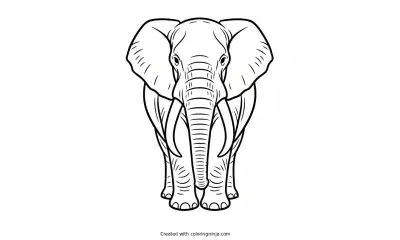 A coloring page of elephant