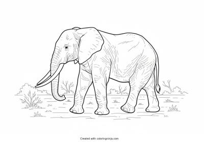 A coloring page of elephant
