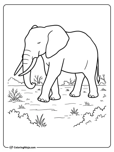 Elefante caminando solo por la sabana