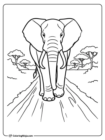 Gran elefante en la sabana