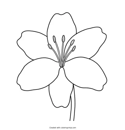 a Flower coloring page