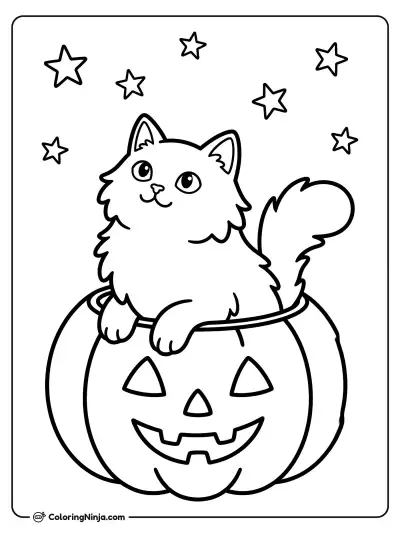 Gato curioso dentro de una calabaza
