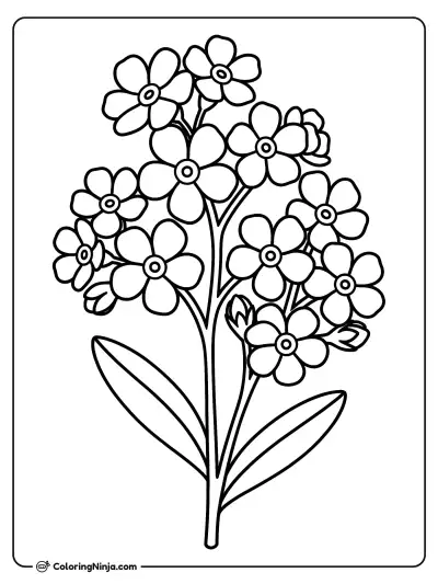 Forget-Me-Not Flowers Coloring Page