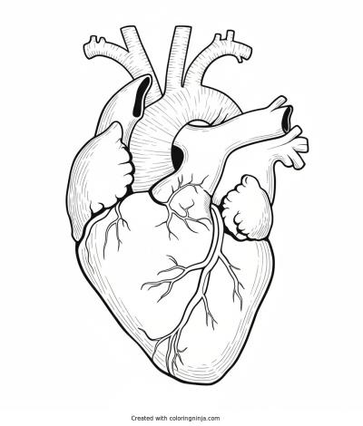 A coloring page of heart