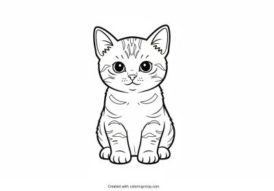 A coloring page of kitten