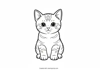 A coloring page of kitten