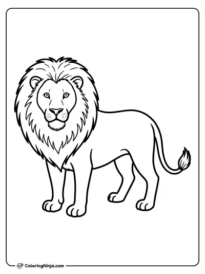 A Lion Coloring Page