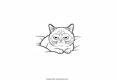 A coloring page of meme