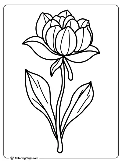 Flor de algodón de seda