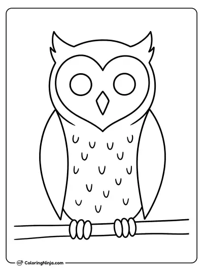 an Owl coloring page