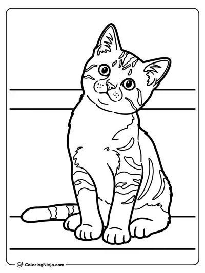 Whimsical Cat on a Shelf Coloring Page