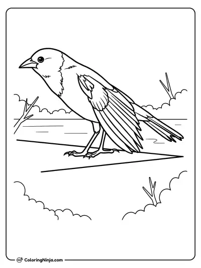 Pájaro de pie al aire libre