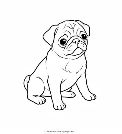 A coloring page of pugg