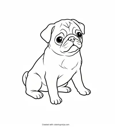 A coloring page of pugg