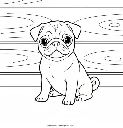 A coloring page of pugg
