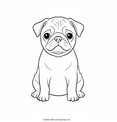 A coloring page of pugg