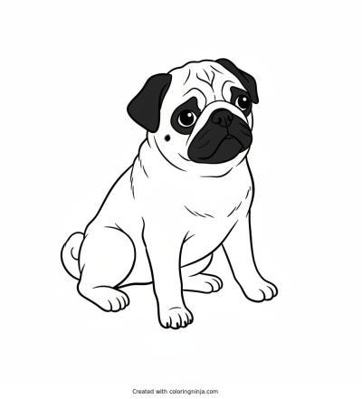 A coloring page of pugg