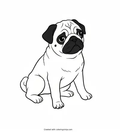A coloring page of pugg
