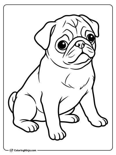 Pug Pequeño Sentado de Cuerpo Completo