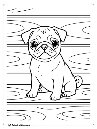 Pug sobre Piso de Madera