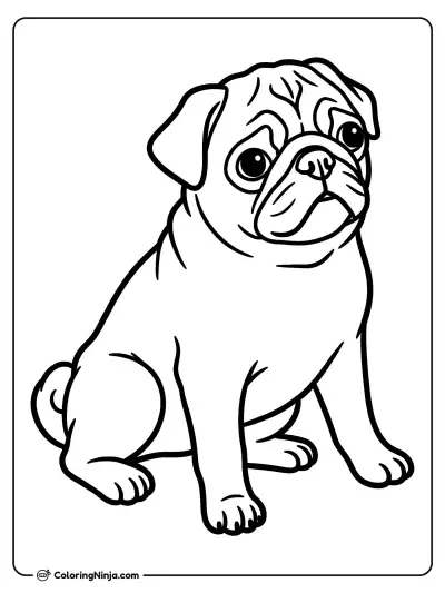 Perrito Pug Sentado Atentamente