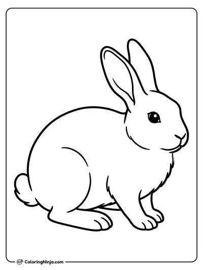 a Rabbit coloring page