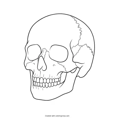 A Skull Coloring Page