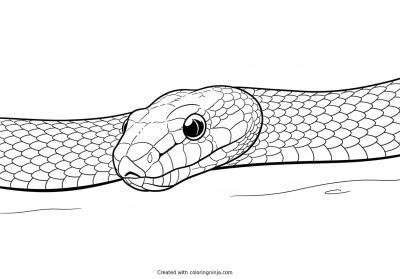 A coloring page of snake