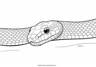 A coloring page of snake