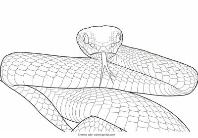 A coloring page of snake